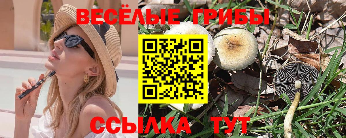Галлюциногенные грибы GOLDEN TEACHER Знаменск