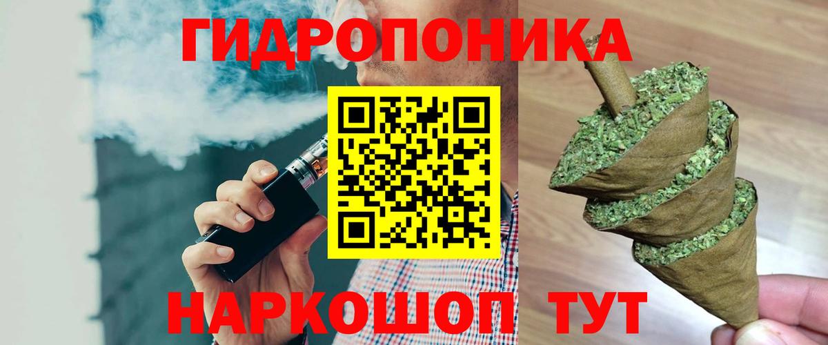 Каннабис план  Конопля сатива  Вход с VPN  Знаменск  Конопля конопля 